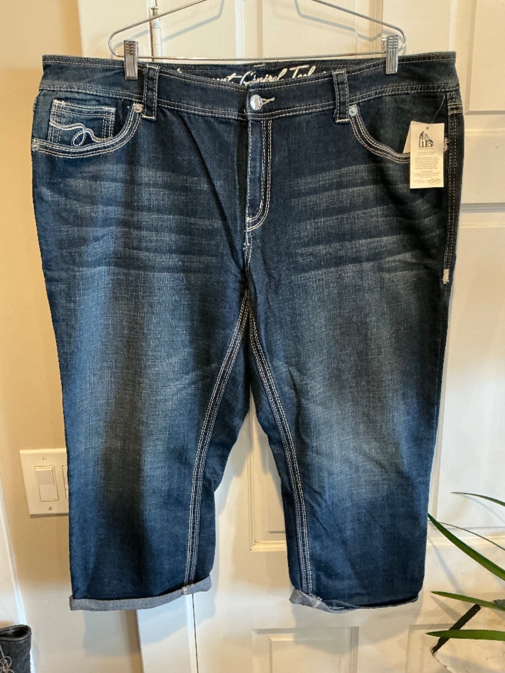Brand new GET jeans in plus size 22w!